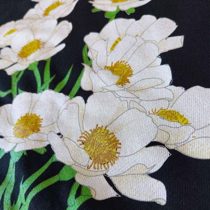 Mt Cook Buttercup Thumbnail