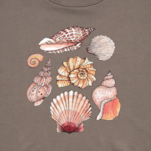 Seashells Thumbnail