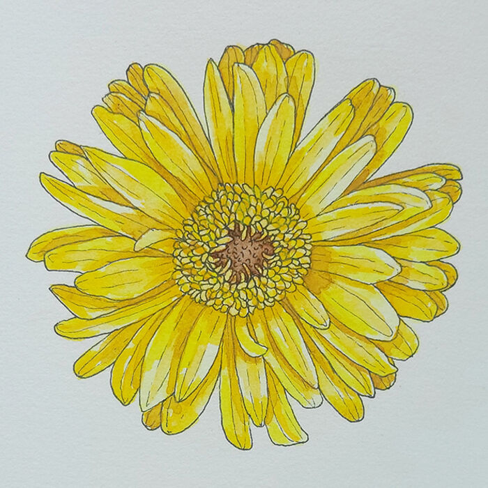 Happy Yellow Gerbera Thumbnail