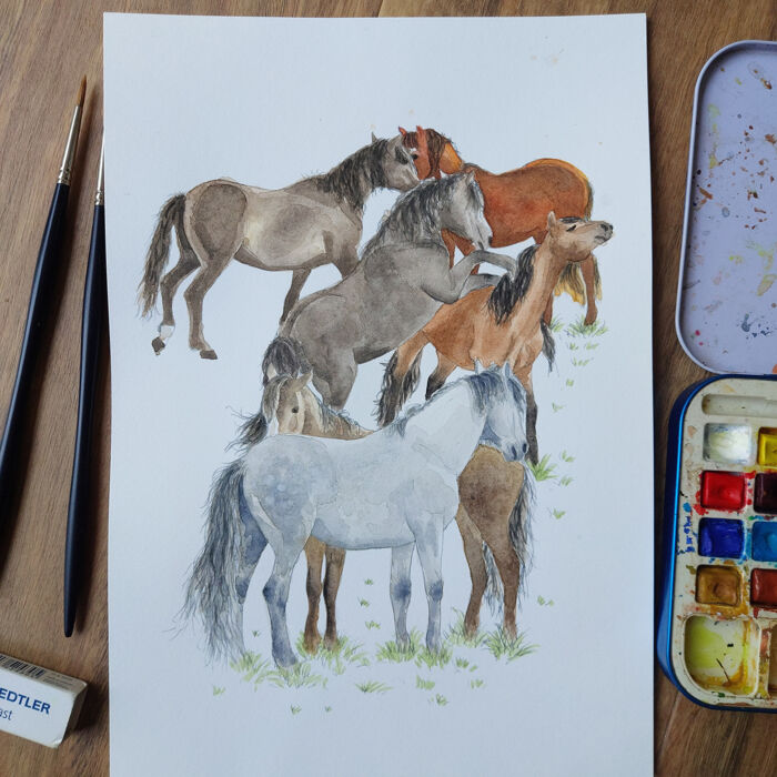 Wild Kaimanawas Thumbnail