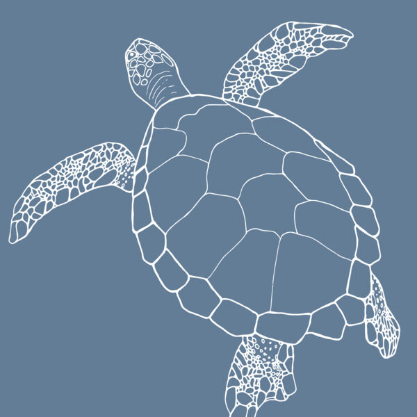 Nature's Mariner - Turtle Thumbnail