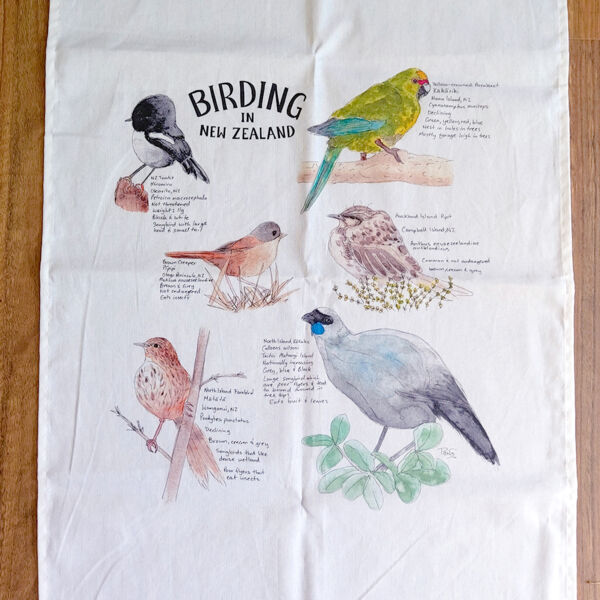 Birding in New Zealand Thumbnail