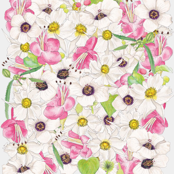 Uncommon NZ Native Flowers Thumbnail