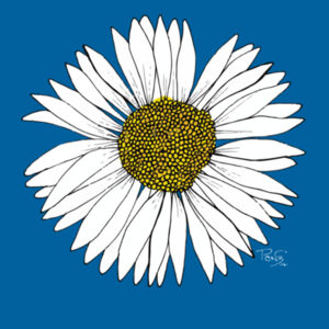 Daisy Tee - AS Colour Kids Classic T shirt Design