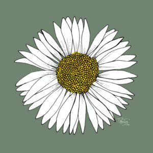 Daisy Hoodie - AS Colour Womens Premium Hood Design