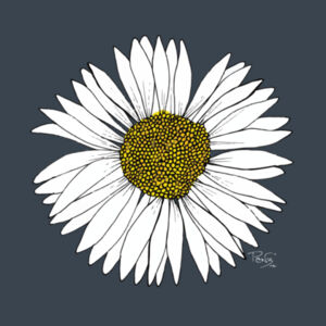Daisy Hoodie - AS Colour Mens Premium Hood Design