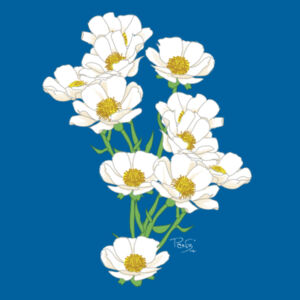 Mt Cook Buttercup tee - AS Colour Kids Classic T shirt Design