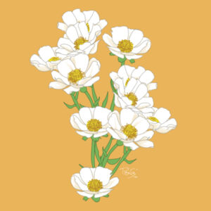 Mt Cook Buttercup tee - AS Colour Womens Maple Tee Design