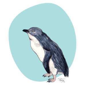 Little Blue Penguin Tee - AS Colour Mens Staple T shirt Design