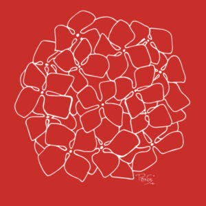 Hydrangea Outline tee - AS Colour Kids Classic T shirt Design