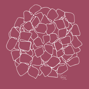 Hydrangea Outline tee - AS Colour Womens Maple Tee Design