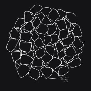 Hydrangea Outline tee - AS Colour Womens Mali Tee Design