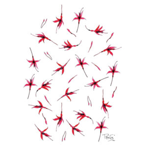 Fuchsia Scatter tee - AS Colour Kids Classic T shirt Design