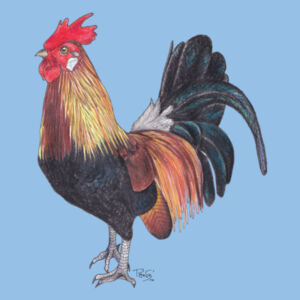 Rooster tee - AS Colour Womens Maple Tee Design
