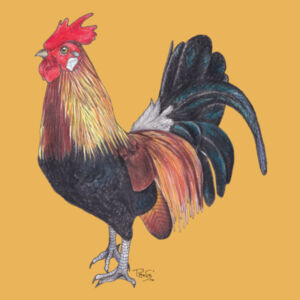 Rooster tee - AS Colour Mens Staple T shirt Design