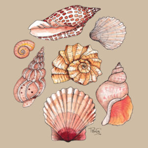 Seashells tee - AS Colour Kids Classic T shirt Design