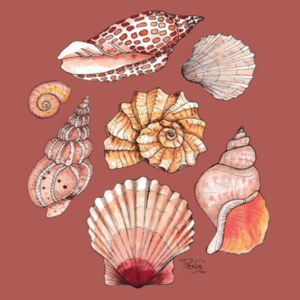 Seashells tee - AS Colour Womens Maple Tee Design