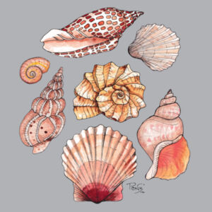 Seashells Hoodies - AS Colour Mens Premium Hood Design