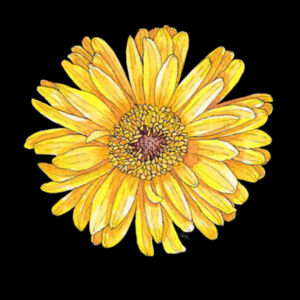 Happy Yellow Gerbera Sweatshirt - AS Colour Womens Premium Crew Design