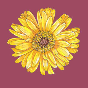 Happy Yellow Gerbera tee - AS Colour Womens Maple Tee Design