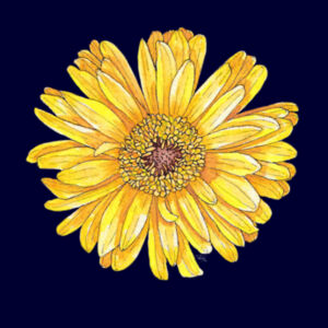Happy Yellow Gerbera tee - AS Colour Womens Mali Tee Design