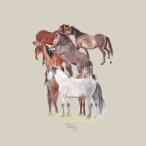 Wild Kaimanawas Charity Tee - AS Colour Kids Classic T shirt Design
