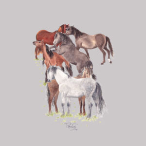 Wild Kaimanawas Charity Sweatshirt - AS Colour Womens Premium Crew Design