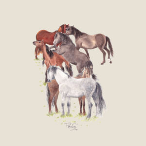 Wild Kaimanawas Charity Tee - AS Colour Womens Mali Tee Design