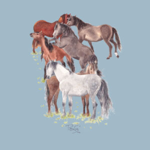 Wild Kaimanawas Charity Tee - AS Colour Mens Staple T shirt Design