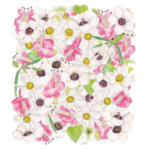 Uncommon NZ Native Flowers - White Tea Towel Design